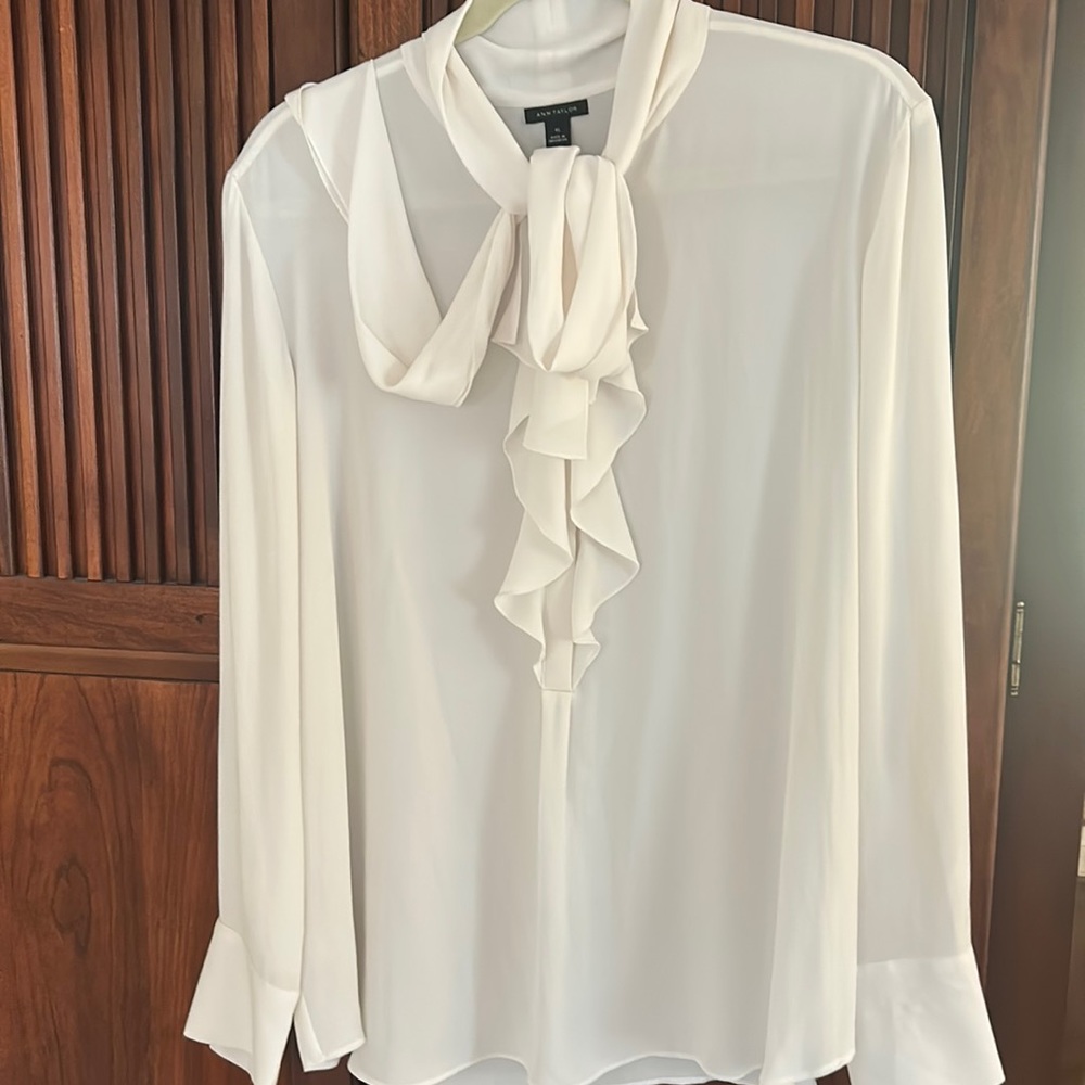 Ann Taylor Woman’s  Blouse XL EUC